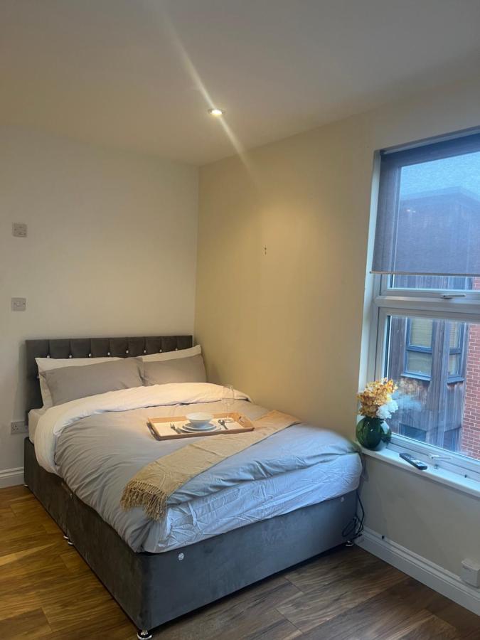Apartment Large Modern Studio Flat
